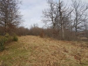 huntingpassion