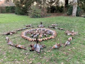 huntingpassion