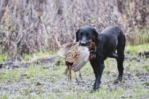 huntingpassion
