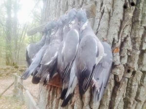 huntingpassion