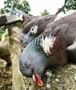 huntingpassion