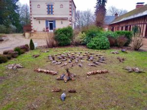 huntingpassion