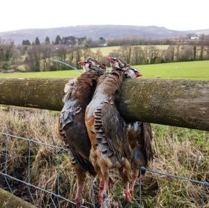 huntingpassion