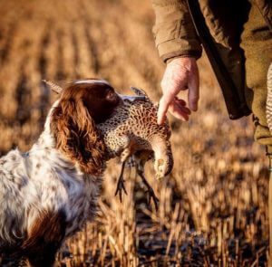huntingpassion
