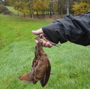 huntingpassion