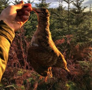 huntingpassion