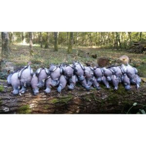 huntingpassion