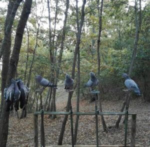 huntingpassion