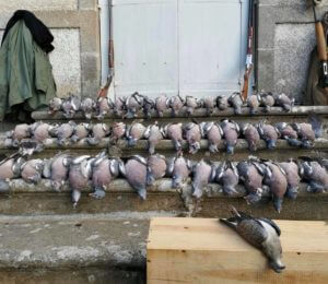 huntingpassion