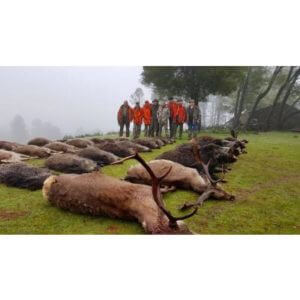 huntingpassion
