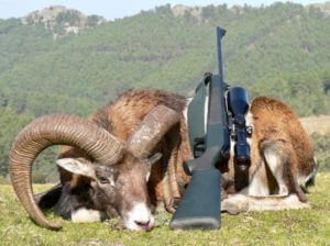 huntingpassion
