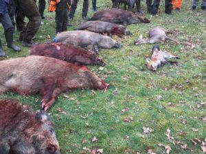 huntingpassion