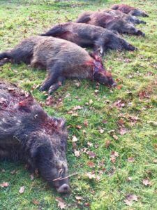 huntingpassion