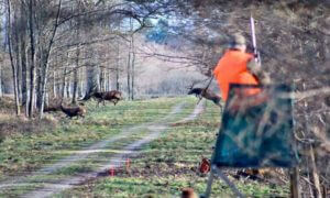 huntingpassion
