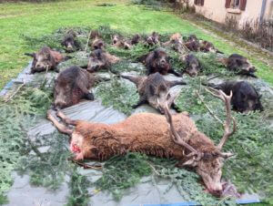 huntingpassion