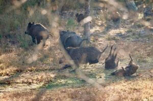 huntingpassion