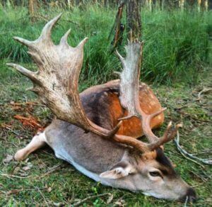 huntingpassion