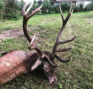 huntingpassion
