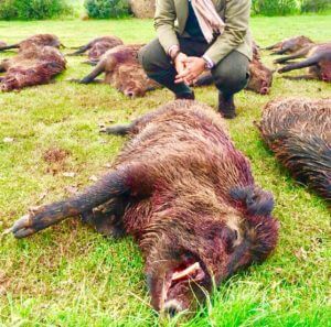 huntingpassion