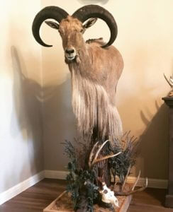 huntingpassion