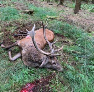 huntingpassion