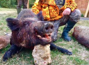 huntingpassion