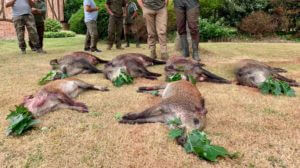 huntingpassion