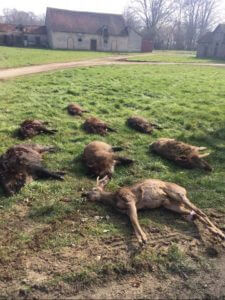 huntingpassion