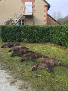 huntingpassion