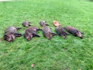 huntingpassion