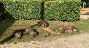huntingpassion