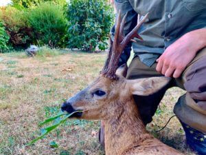 huntingpassion