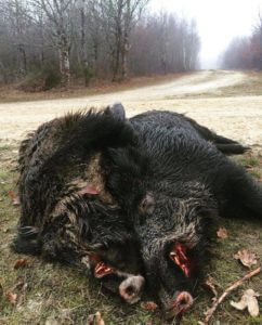 huntingpassion