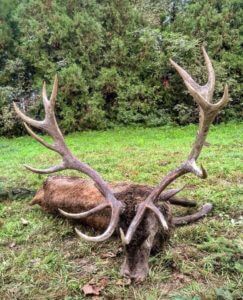 huntingpassion