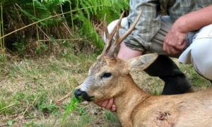 huntingpassion
