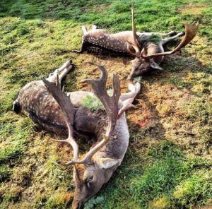 huntingpassion