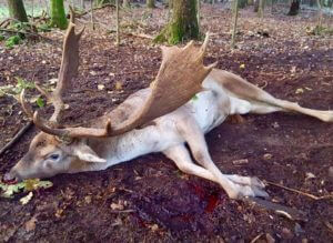 huntingpassion
